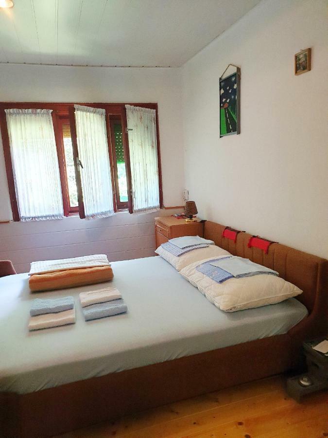 Draga Koncar Guest House Vrelo Korenicko Luaran gambar