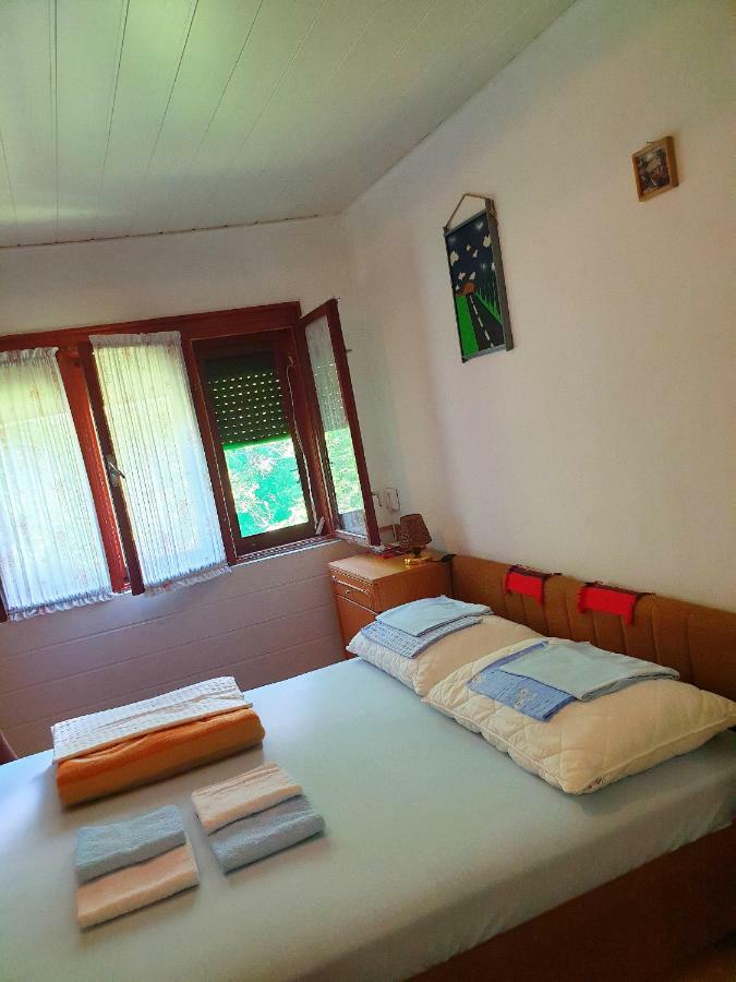 Draga Koncar Guest House Vrelo Korenicko Luaran gambar
